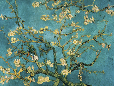 van gogh mandorlo